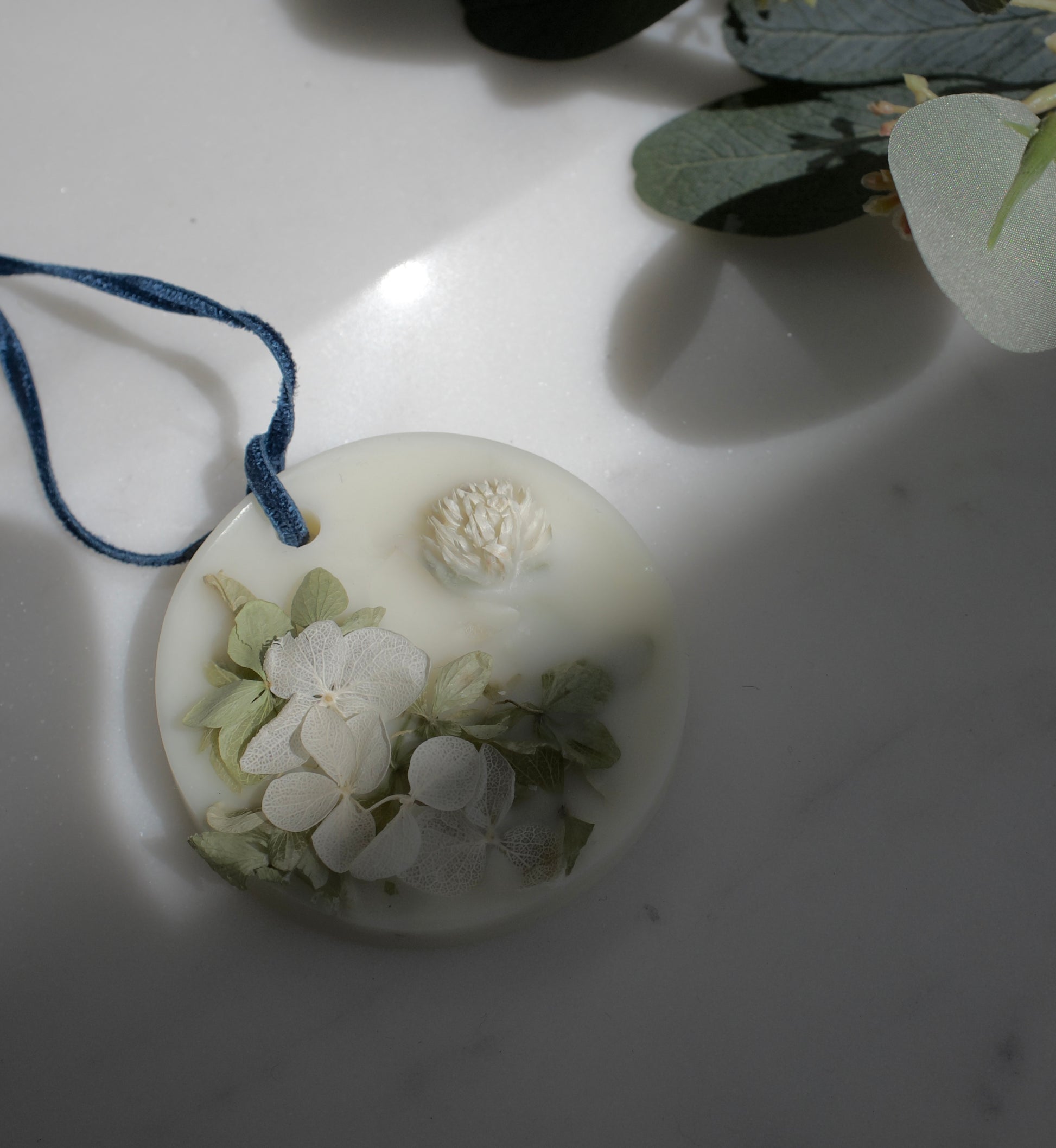 botanical palet -  dreamed a dream